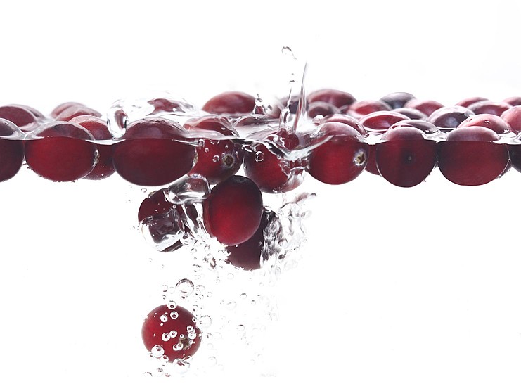 cranberries-im-wasser1